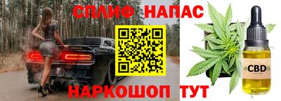сатива Азнакаево