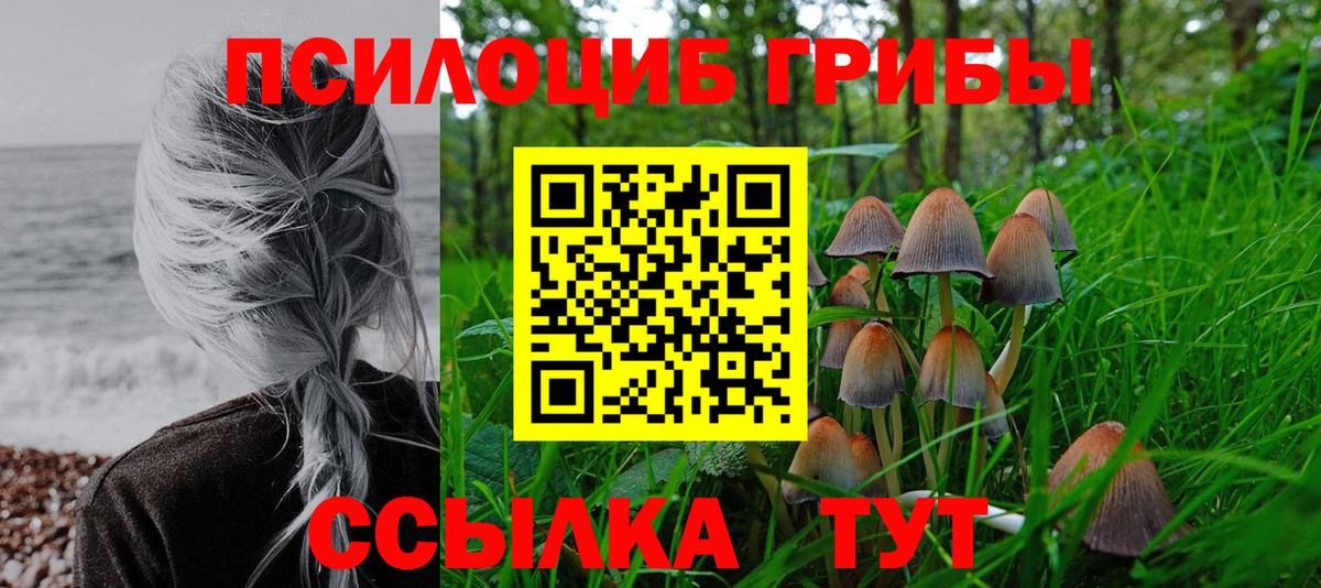 Галлюциногенные грибы Psilocybine cubensis  Вход с VPN  Амурск 
