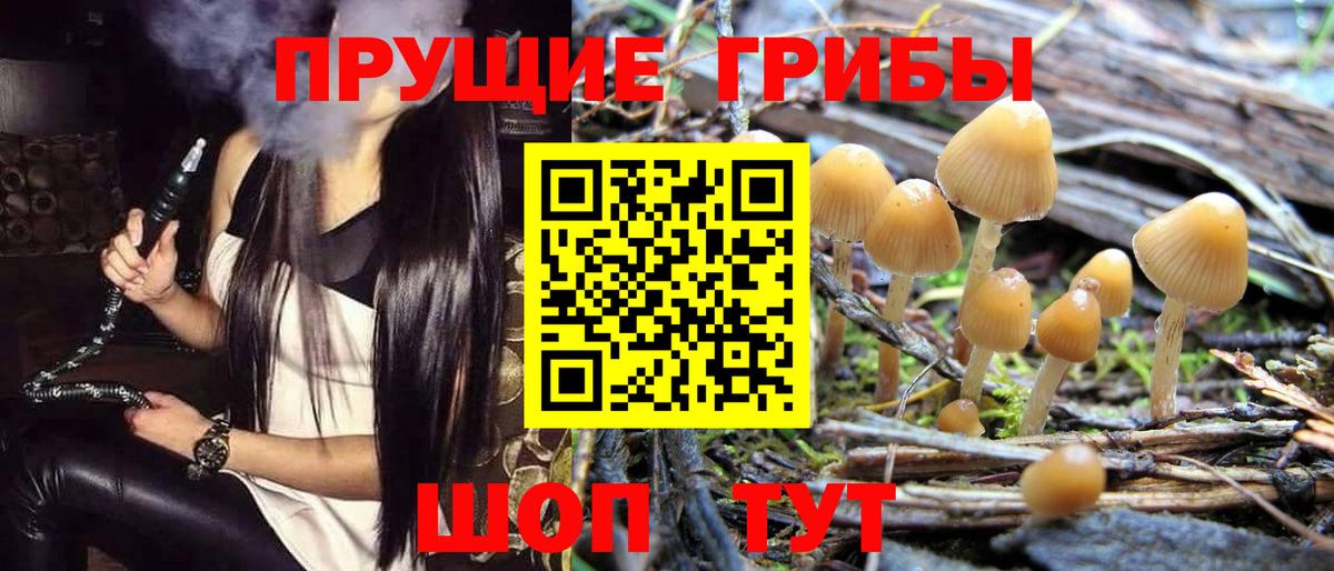 Галлюциногенные грибы Magic Shrooms Амурск